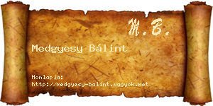 Medgyesy Bálint névjegykártya