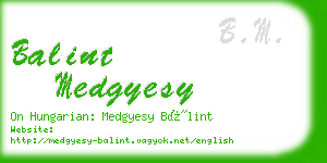 balint medgyesy business card